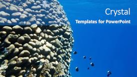  Presentation with tranquil - 