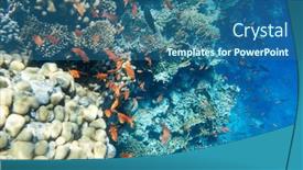  Presentation with tranquil - 