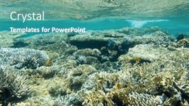  Presentation with tranquil - Presentation design having tranquil-underwater-scene-with-copy background and a  colored foreground