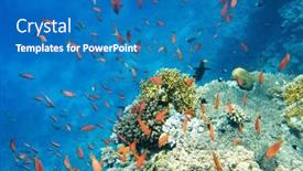  Presentation with tranquil - Slide deck enhanced with tranquil-underwater-scene-with-copy background and a  colored foreground