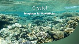  Presentation with tranquil - 