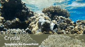  Presentation with tranquil - Theme enhanced with tranquil-underwater-scene-with-copy background and a  colored foreground