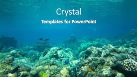  Presentation with tranquil - Amazing presentation design having tranquil underwater scene with copy space backdrop and a gray colored foreground