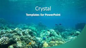  Presentation with tranquil - Theme having tranquil underwater scene with copy space background and a gray colored foreground