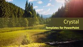  Presentation with tranquil - Presentation theme enhanced with tranquil-view-of-the-wild background and a tawny brown colored foreground