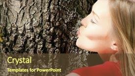  Presentation with tree - Beautiful theme featuring transcend - girl kissing a tree backdrop and a tawny brown colored foreground