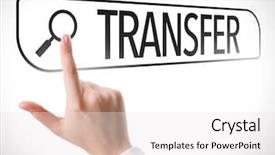  Presentation with transfer - Amazing presentation theme having transfer written in search bar backdrop and a white colored foreground