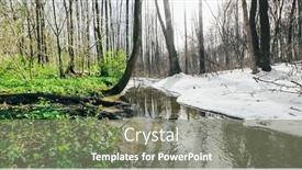  Presentation with winter forest - Colorful PPT theme enhanced with transitional-season-in-the-forest backdrop and a gray colored foreground