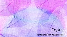  Presentation with multicolor - Slide deck having translucent - multicolor decorative skeleton leaves background and a light blue colored foreground