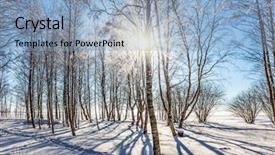  Presentation with ecotourism - Beautiful PPT theme featuring transparent cold air in aspen backdrop and a light blue colored foreground