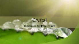  Presentation with dew drop - Colorful theme enhanced with transparent drop of water dew backdrop and a yellow colored foreground