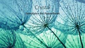  Presentation with water drops - Audience pleasing PPT theme consisting of transparent-drops-of-water backdrop and a light blue colored foreground