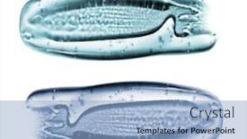  Presentation with cream - PPT theme consisting of transparent-gel-with-bubbles-close background and a light blue colored foreground