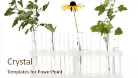  Presentation with solution chemistry - Cool new PPT theme with word spelling thank you on white notebook with wood background backdrop and a light gray colored foreground