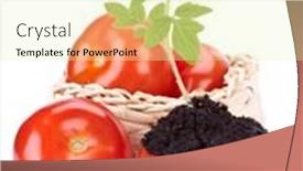  Presentation with transplant - Presentation with transplant of a tree in a pot from fresh tomato on a white background concept for environment conservation background and a soft green colored foreground