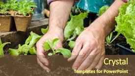  Presentation with vegetable garden - Colorful PPT theme enhanced with old rusty water tower and clear blue sky backdrop and a gray colored foreground.