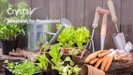  Presentation with lettuce - Slide deck with tools outside the potting shed background and a gray colored foreground