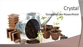  Presentation with vegetable gardening - Beautiful theme featuring white background concept of spring backdrop and a white colored foreground