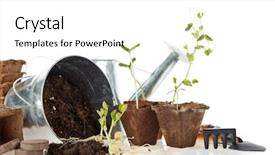  Presentation with vegetable gardening - Cool new theme with white background concept of spring backdrop and a white colored foreground