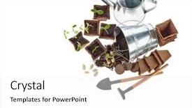  Presentation with vegetable gardening - Beautiful PPT layouts featuring white background concept of spring backdrop and a white colored foreground
