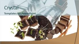  Presentation with vegetable gardening - Colorful PPT theme enhanced with white background concept of spring backdrop and a light blue colored foreground