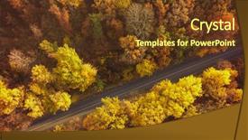  Presentation with forest road - Slides having transport plants - autumn forest drone aerial shot background and a tawny brown colored foreground