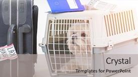  Presentation with cargo transportation - Slide deck with transportation - little dog in the airline background and a light gray colored foreground