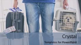  Presentation with cargo transportation - Presentation having transportation - little dog in the airline background and a seafoam green colored foreground