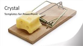  Presentation with incentive - Beautiful slides featuring trap - mousetrap baited with cheese concept backdrop and a white colored foreground