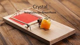  Presentation with cheese - Cool new PPT theme with trap - mousetrap with cheese on wooden backdrop and a coral colored foreground