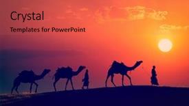  Presentation with effect - PPT layouts consisting of travel background - two indian camel background and a red colored foreground