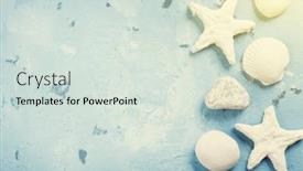  Presentation with sea shells - Beautiful presentation featuring travel beach vacation background sea shells and starfish over stone top view with copy space sunny toned backdrop and a soft green colored foreground