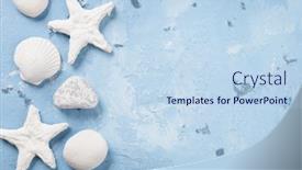  Presentation with space travel - PPT theme having travel beach vacation background sea shells and starfish over stone top view with copy space background and a sky blue colored foreground
