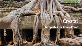  Presentation with tree roots - Colorful slide set enhanced with travel cambodia concept background - ancient ruins with tree roots ta prohm temple angkor cambodia backdrop and a violet colored foreground
