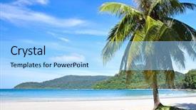  Presentation with summer trees - PPT theme having travel holidays hawaii - summer tropical beach with coconut background and a  colored foreground