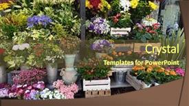  Presentation with street - Audience pleasing PPT theme consisting of travel shops - street flower shop backdrop and a tawny brown colored foreground