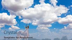  Presentation with magical - Slide set enhanced with travel-to-africa-the-magical background and a light blue colored foreground