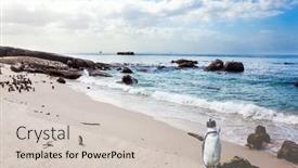  Presentation with cape town south africa - Presentation theme consisting of travel-to-an-exotic-land background and a soft green colored foreground