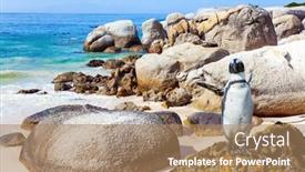  Presentation with cape town south africa - Presentation design having travel-to-an-exotic-land background and a coral colored foreground