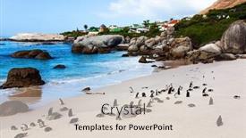  Presentation with cape town - Slide deck having travel-to-an-exotic-land background and a lemonade colored foreground