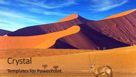  Presentation with africa tourism - Amazing PPT theme having travel to namibia south africa backdrop and a gold colored foreground