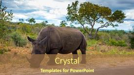  Presentation with africa tourism - Cool new presentation design with travel-to-south-africa-african backdrop and a coral colored foreground