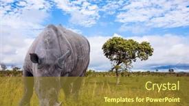  Presentation with africa tourism - Amazing presentation design having travel-to-south-africa-african backdrop and a tawny brown colored foreground