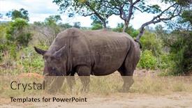  Presentation with africa tourism - Presentation theme with travel-to-south-africa-african background and a coral colored foreground