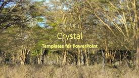  Presentation with africa - Theme featuring travel-to-the-horn background and a tawny brown colored foreground