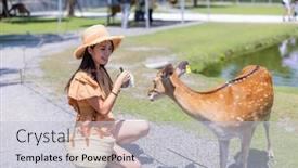  Presentation with snack - PPT layouts consisting of travel-woman-feed-snack background and a  colored foreground