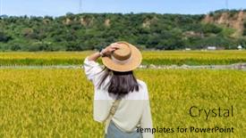  Presentation with paddy field - Slide set consisting of travel-woman-go-taiwan-taichung background and a gold colored foreground