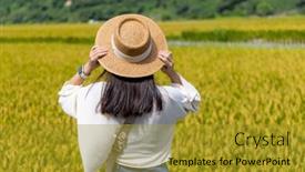  Presentation with rice paddy - Presentation featuring travel-woman-go-taiwan-taichung background and a gold colored foreground