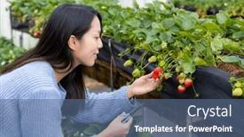  Presentation with strawberry - 