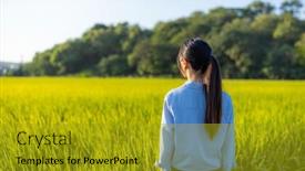  Presentation with rice field - PPT theme featuring travel-woman-in-rice-field background and a gold colored foreground